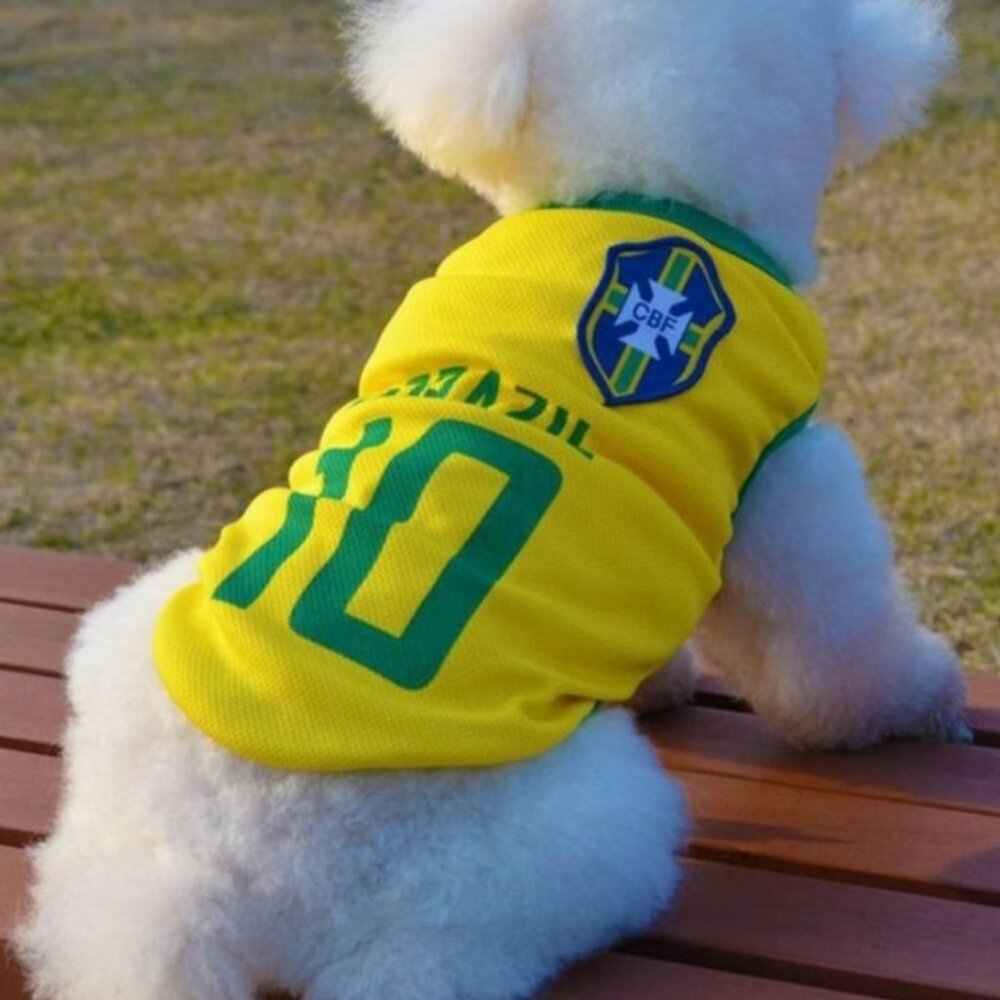 Brazil Inspired Yellow & Green Dog Jersey - Picture 1 of 6